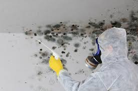 Best Environmental Consulting for Mold Prevention  in Cheverly, MD